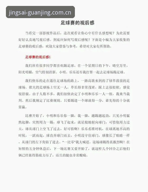 冠竞体育用户评价 资深用户分享:世界杯观赛签证危机背后的真实体验与冠竞体育平台观赛心得